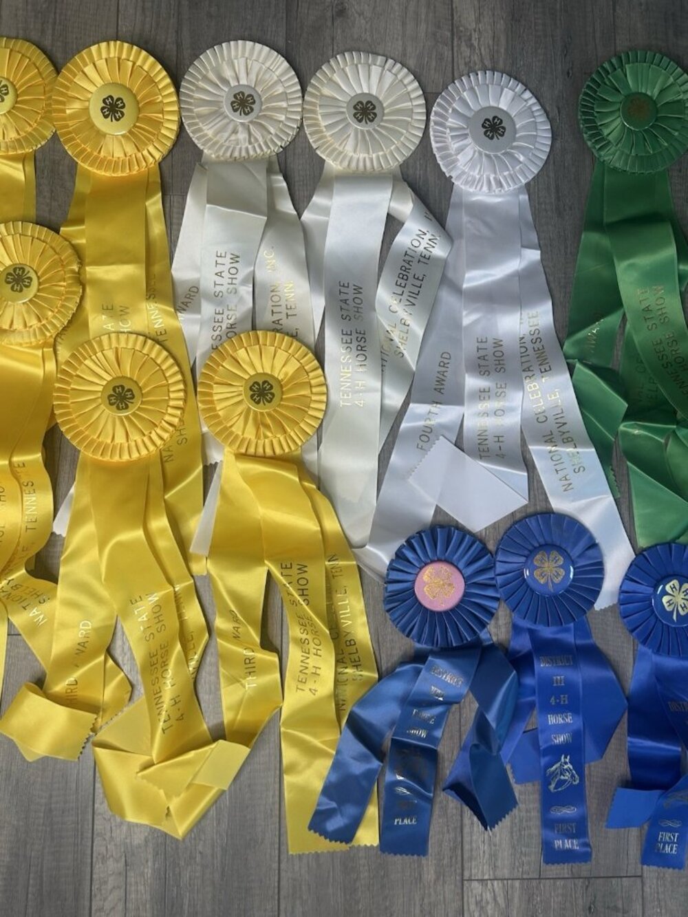Show Ribbons 4-H Club Rosettes Craft Equestrian Tennessee Shelbyville Lot Of 19 - Picture 3 of 16